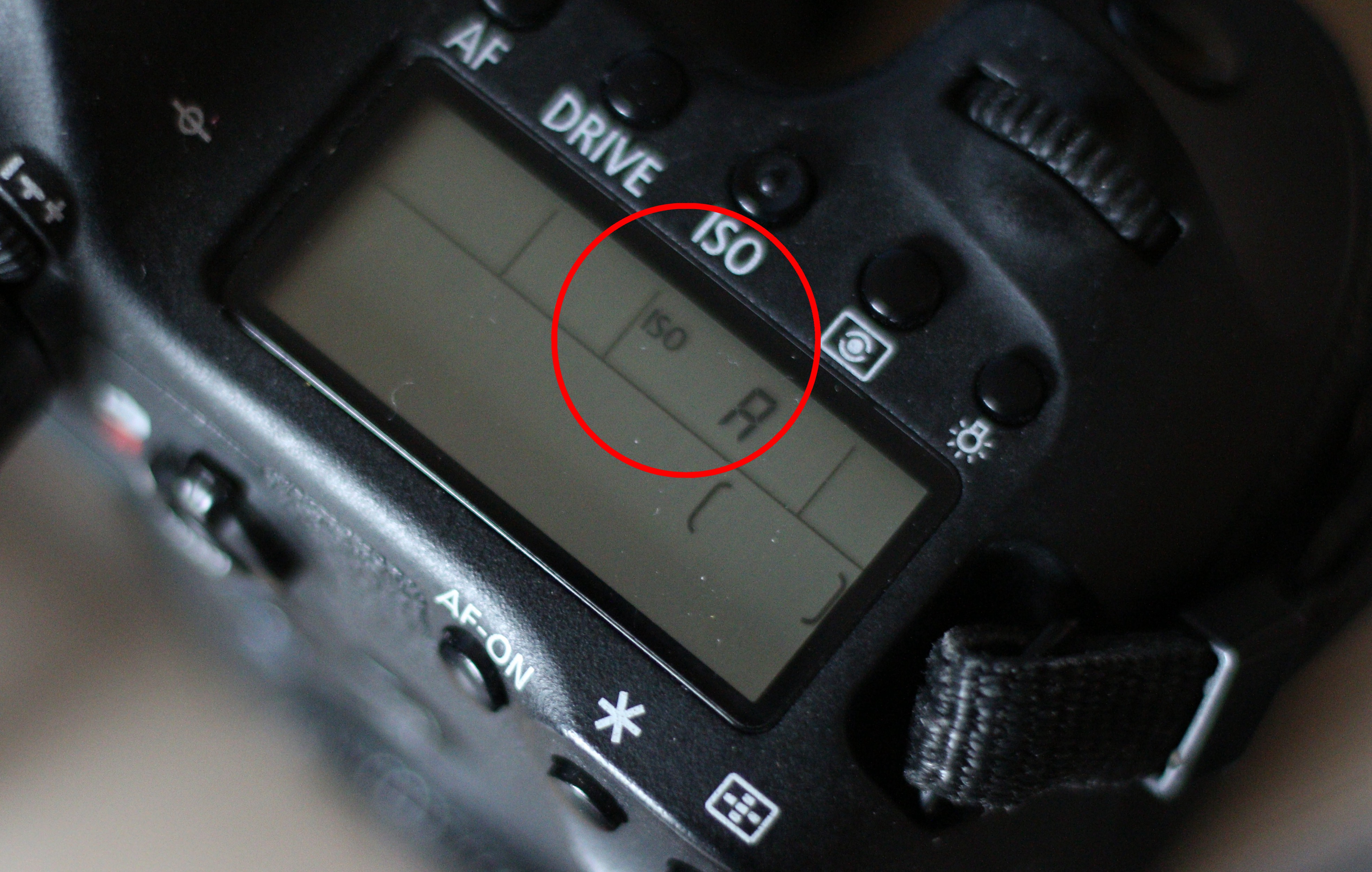 相机怎么抓拍运动中的人,单反相机运动拍摄技巧