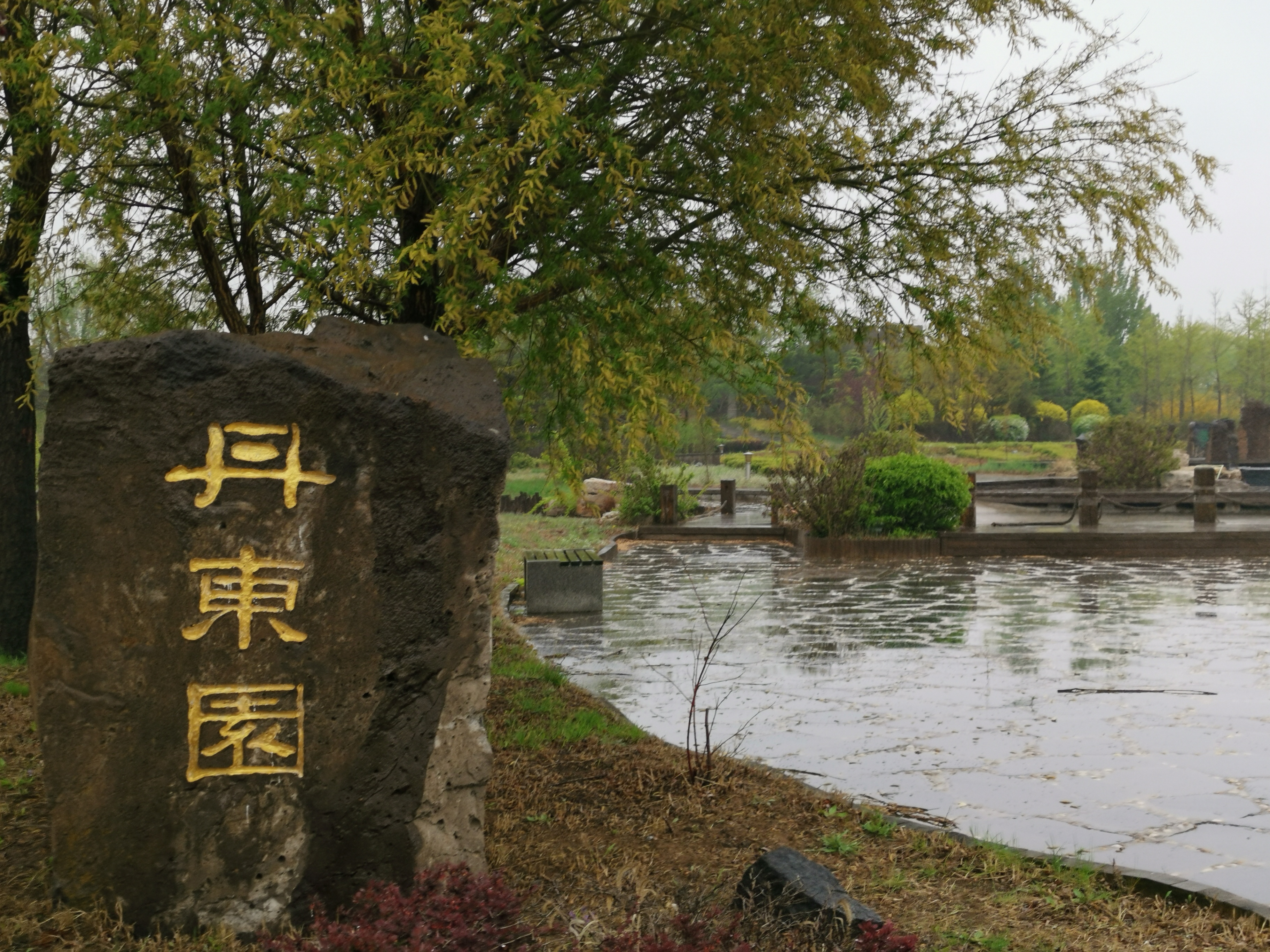 游锦州世博园,五一锦州世博园赏花