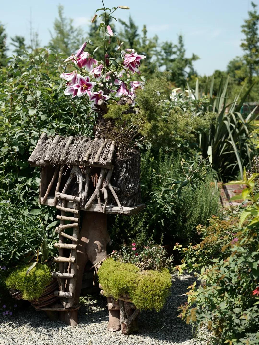 建一座完全不打药的生态花园，所有生命在这里和谐共处，值得收藏