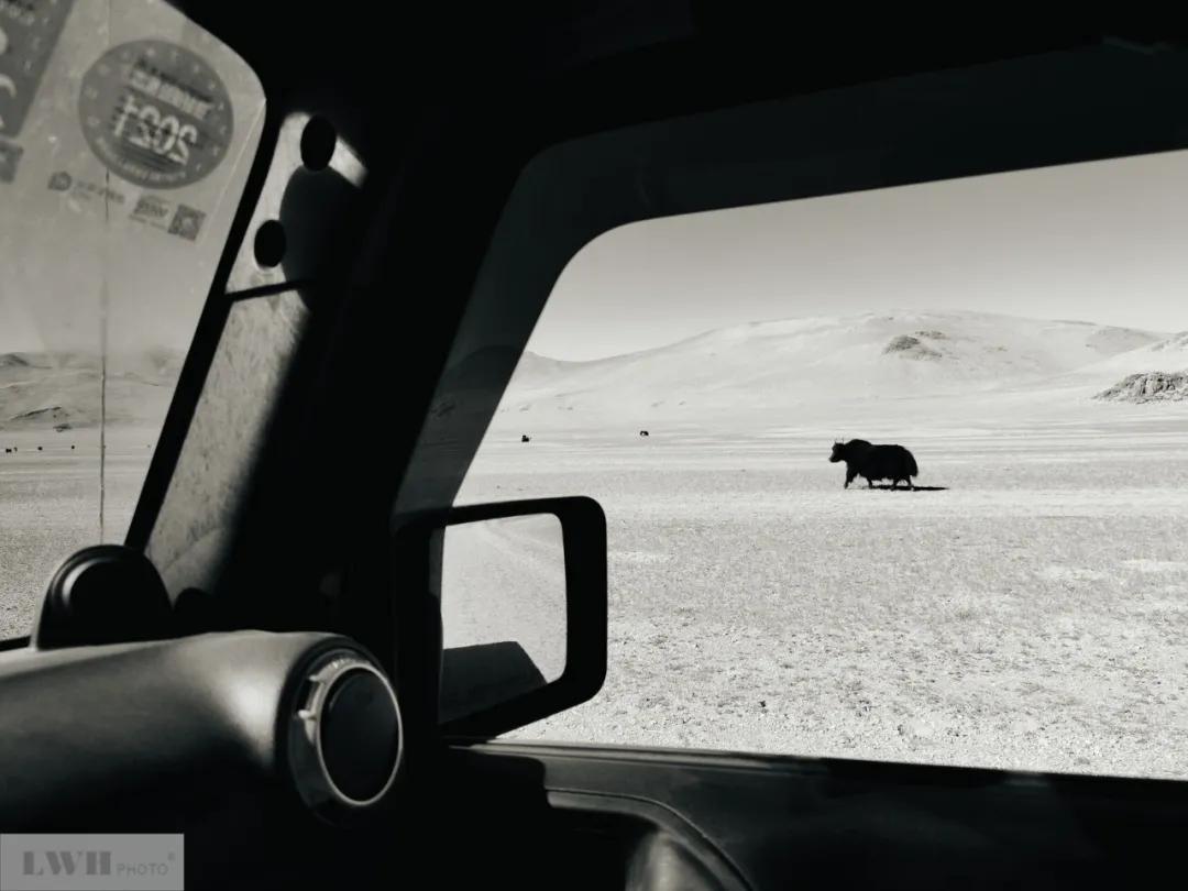 西藏阿里北旅游攻略图片,西藏阿里旅游攻略