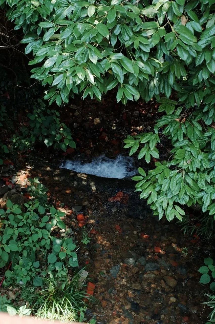 杭州西湖人少景美的地方,杭州人少景美免费景点