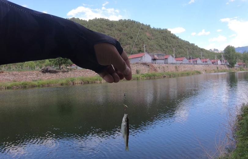 新入坑路亚的钓友越来越多,完全不会钓鱼如何入坑路亚