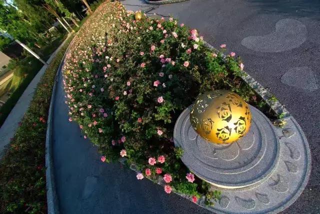 深圳最美婚姻登记中心,深圳最美婚姻登记攻略