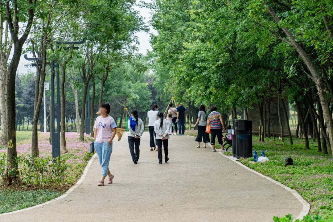 西安花海小森林,西安周边适合郊游野餐的地方