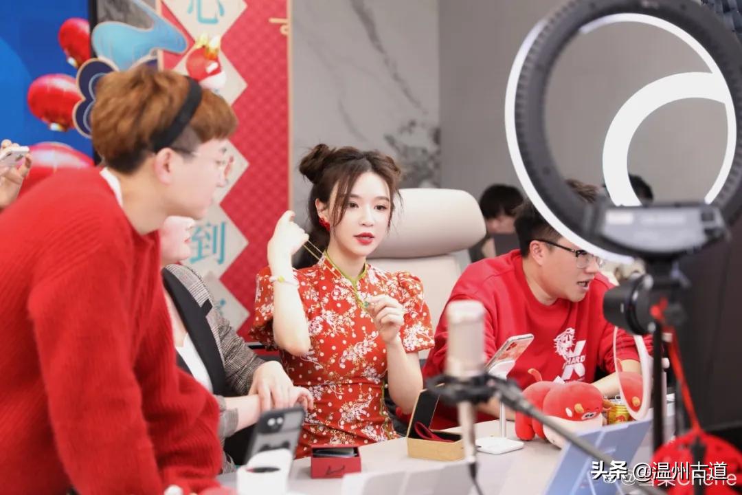 雪梨网红被罚款,雪梨被罚6555万税款怎么算的