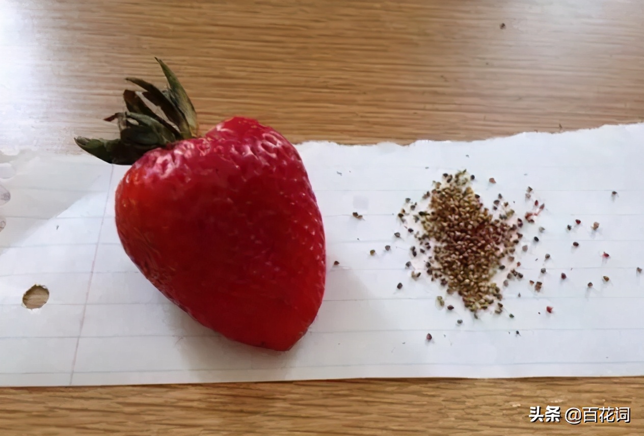 毛孔粗大收缩毛孔最有效方法男士,毛孔粗大收缩毛孔用哪些电子产品