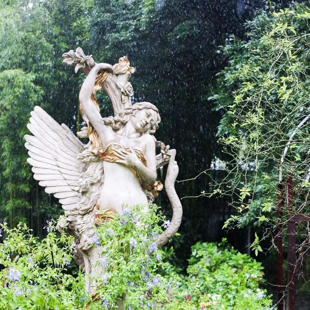 一个安徽爷爷，花1万块种出5000㎡私家花园，被评为中国最美