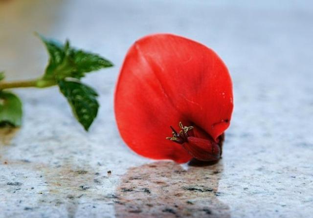 穷人为什么穷富人为什么富视频,穷人为何穷富人为何富看了就明白