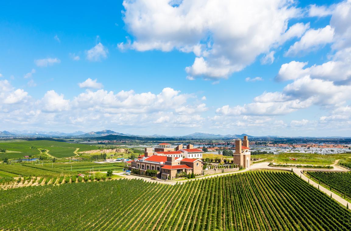 莱西十大网红打卡点,莱西打卡