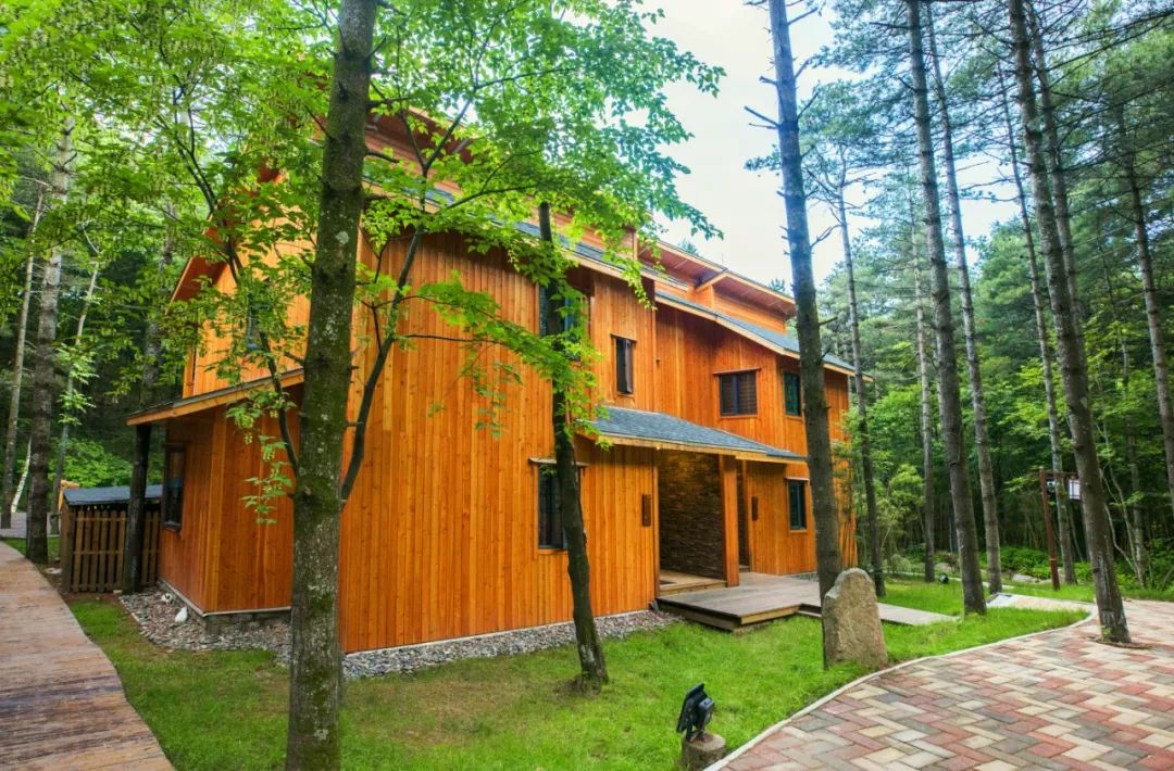 白云山景区民宿一家五口,白云山森林小屋民宿