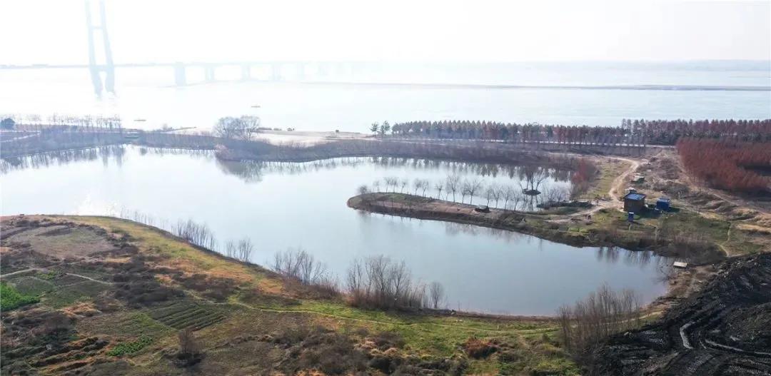 荆州39个重大项目签约,荆州高新区医院项目最新进展