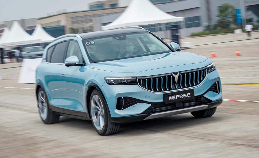 温柔的杀手完整版台湾,温柔的杀手kz