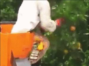 认真是一种可怕的力量,德国严谨的态度