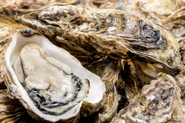 扒一扒那些在美食界乘风破浪的贝壳们