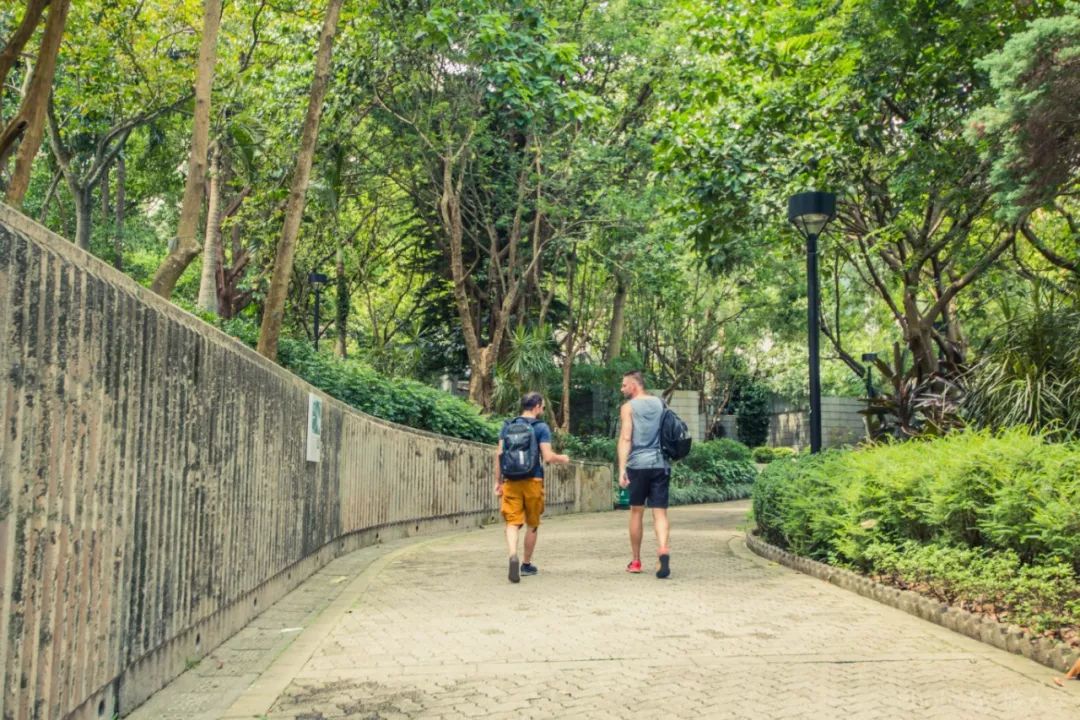 寸土寸金香港,寸土寸金的香港