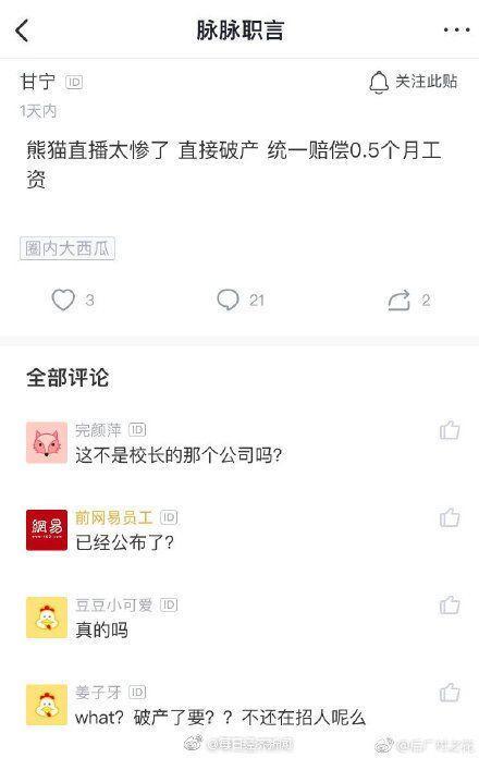 王思聪站台的明星项目也要凉凉传熊猫直播破产清算