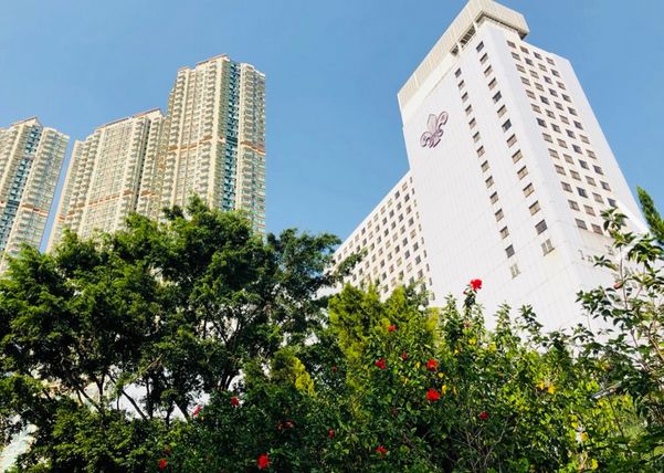 香港网红酒店,香港3天2夜酒店推荐