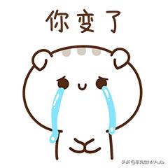 最后的挣扎！DS并网东风标致雪铁龙，失败者联盟还有戏吗？