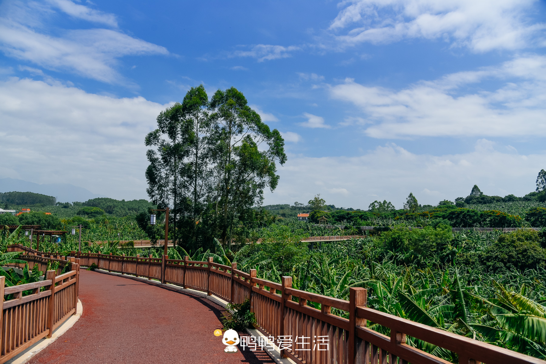 福建旅游景点免票景区,福建过年景区免票