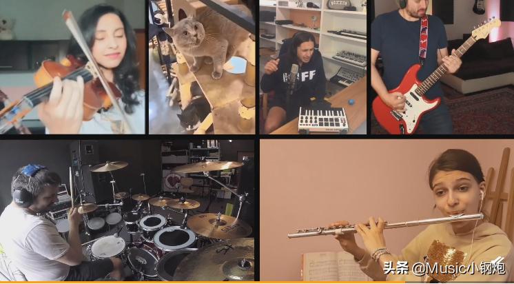 猫咪唱的最魔性的一首歌,愤怒的猫咪神曲