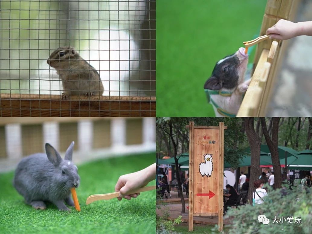 北京十大免费遛娃去处,北京朝阳区遛娃好去处