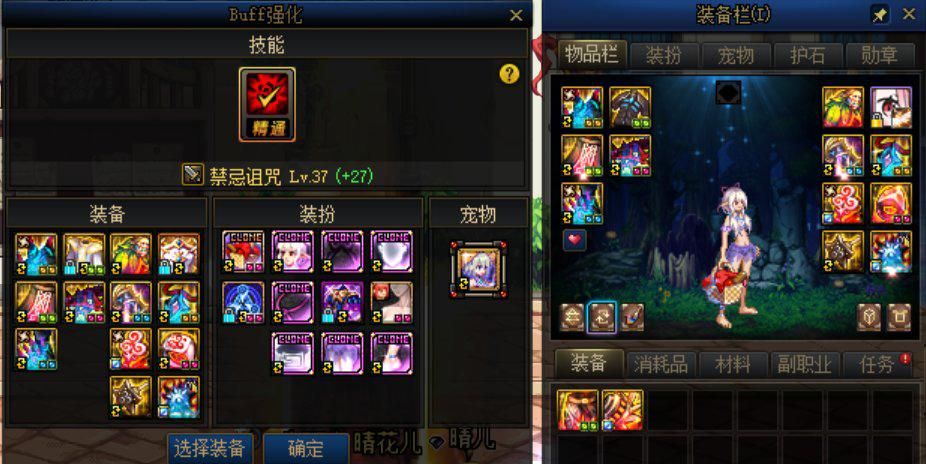 dnf奶萝带皇家还是大祭司好,dnf奶萝的永恒占据怎么用啊