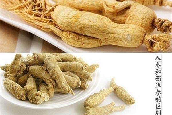 熬夜上火喝西洋参还是人参好,西洋参人参糖尿病和高血压能喝吗