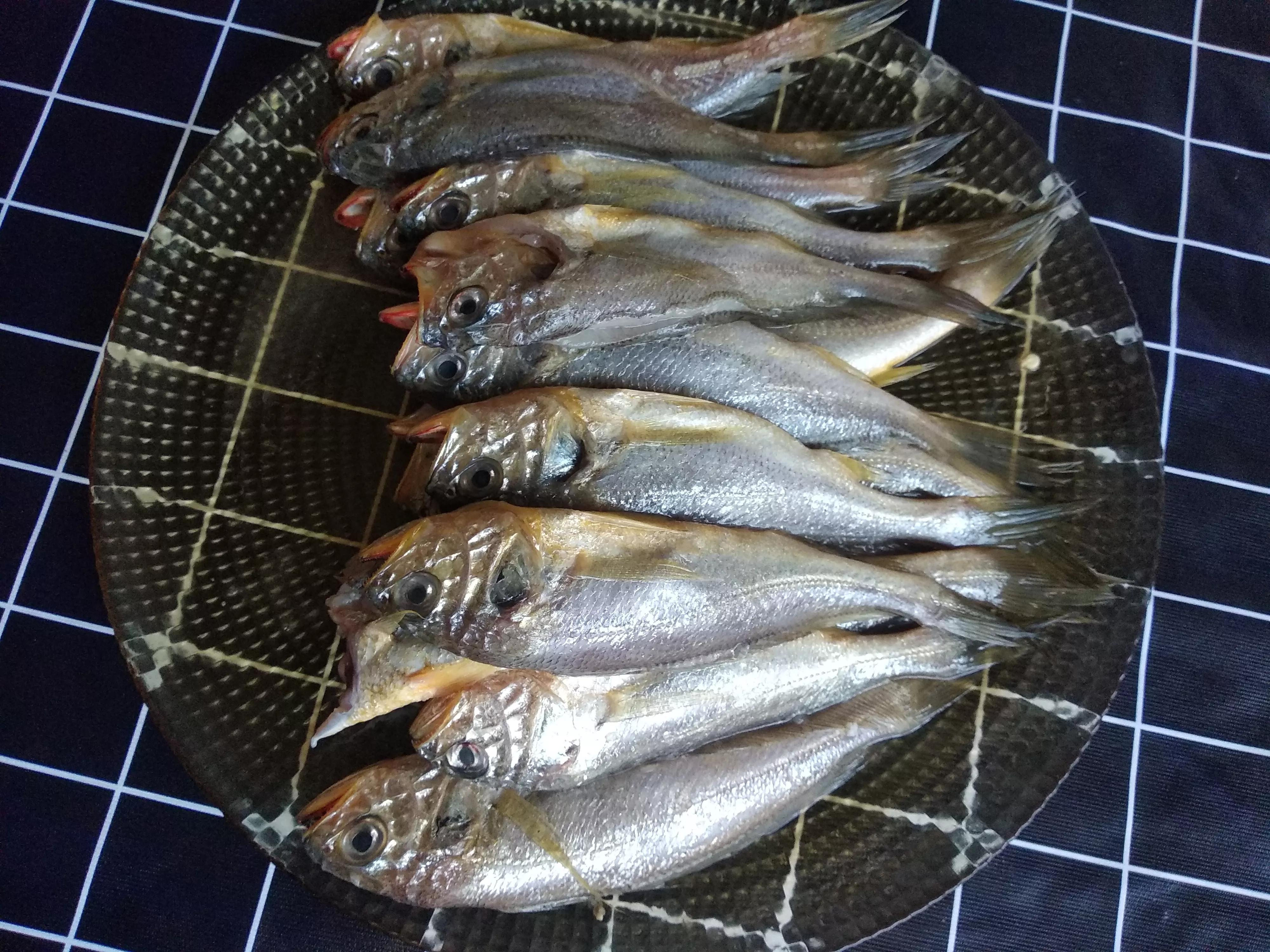 开海了吃什么美食,海边人常吃的40种海鱼