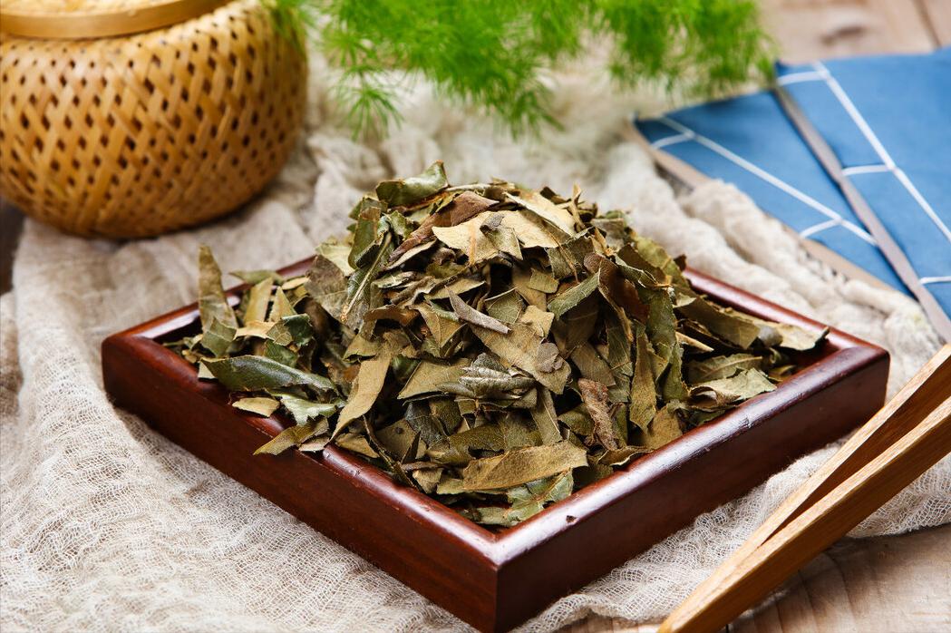 狗狗有跳蚤怎么办？这5个“妙招”，可以帮你搞定