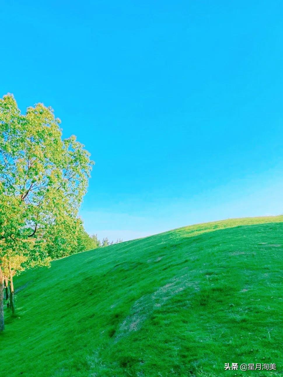 成都小众但值得去的地方,成都必打卡的30个小众上镜地