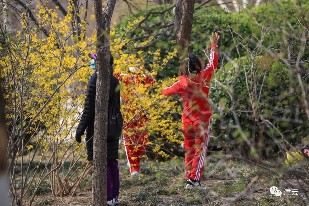 天津西青郊野公园开放最新通知,天津临港亲海公园什么时候开放