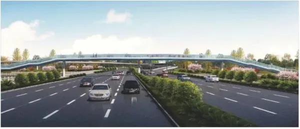 尖叫！苏州碾压一线城市，迎来高光时刻