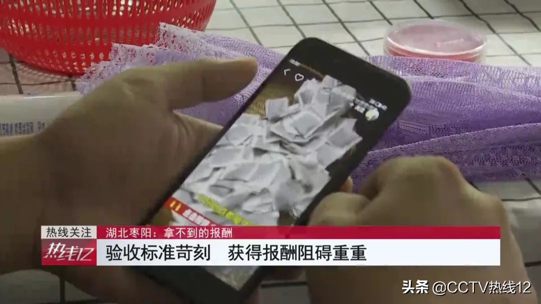 在家代工包装茶能月入过万？男子拖家带口干了一星期，仅收到100余元