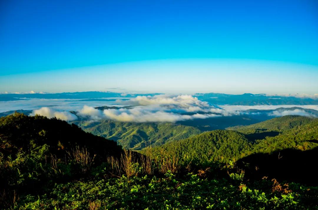 泰国西双版纳旅行,西双版纳基诺山热带雨林徒步