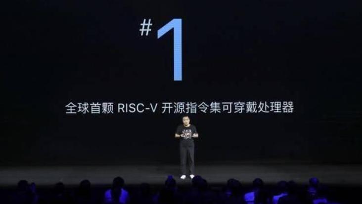一个独特设计的risc-v处理器,阿里巴巴risc-v处理器