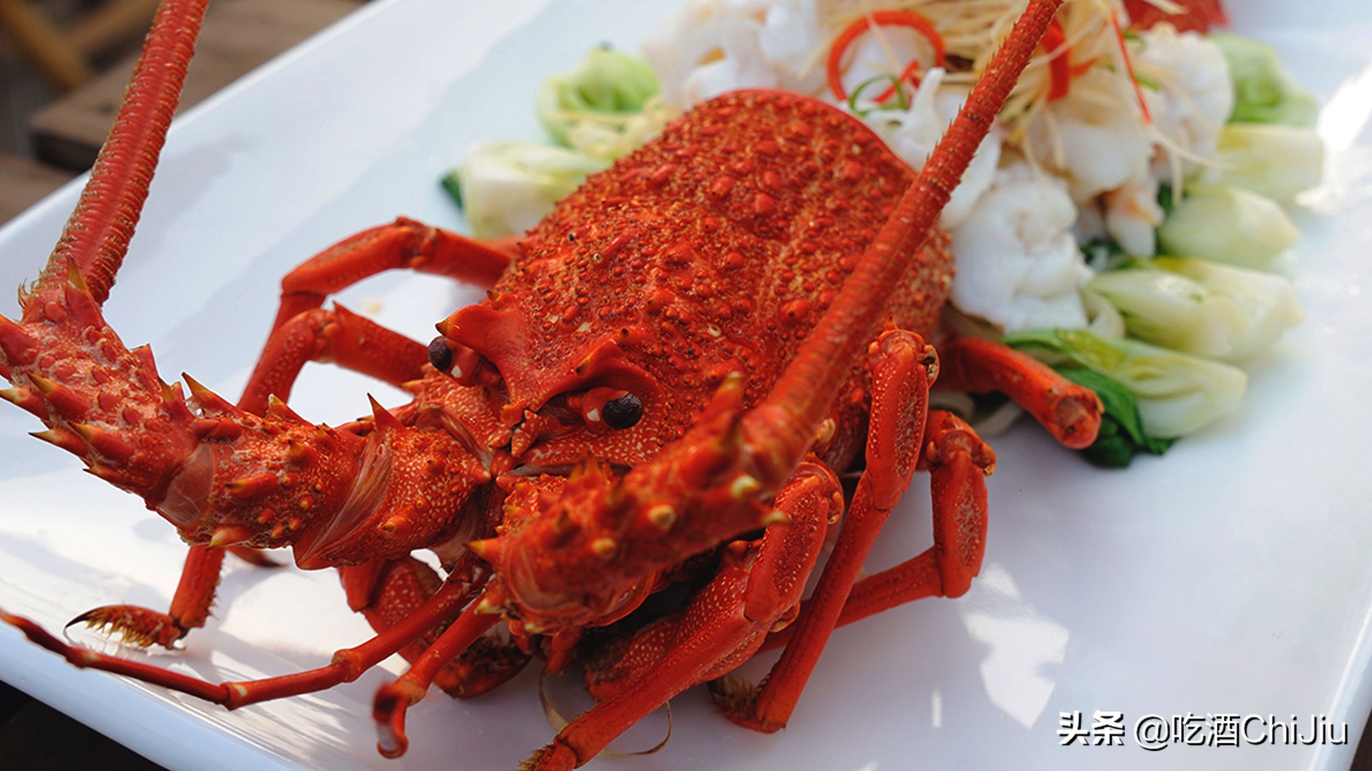 澳洲淡水蓝龙虾和波士顿哪个贵,澳洲龙虾和波士顿龙虾怎么区别