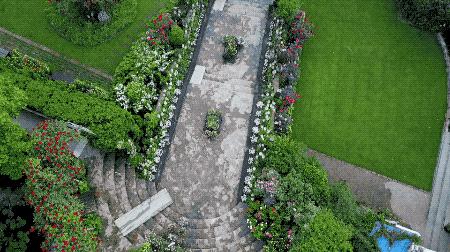 一个安徽爷爷，花1万块种出5000㎡私家花园，被评为中国最美