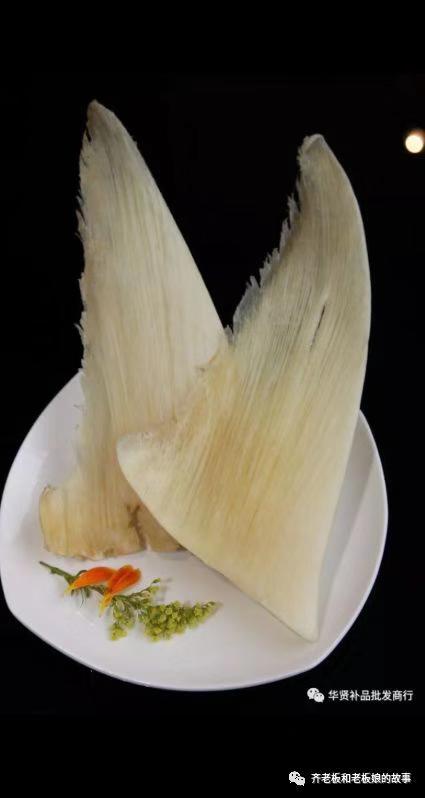 若海的视频,诺海