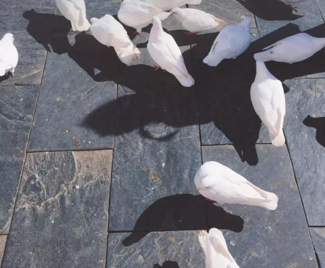 西安打卡景点和网红地,西安最近最火的打卡圣地