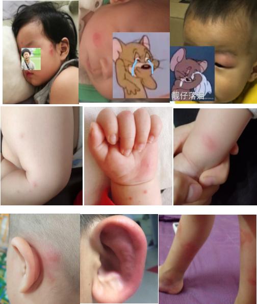 最新好用蚊帐推荐款有哪些,蚊帐哪种款式好用测评