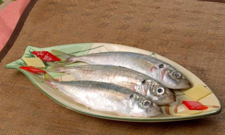 海鱼哪个品种最好吃还有营养,常吃的海鱼有哪些种类