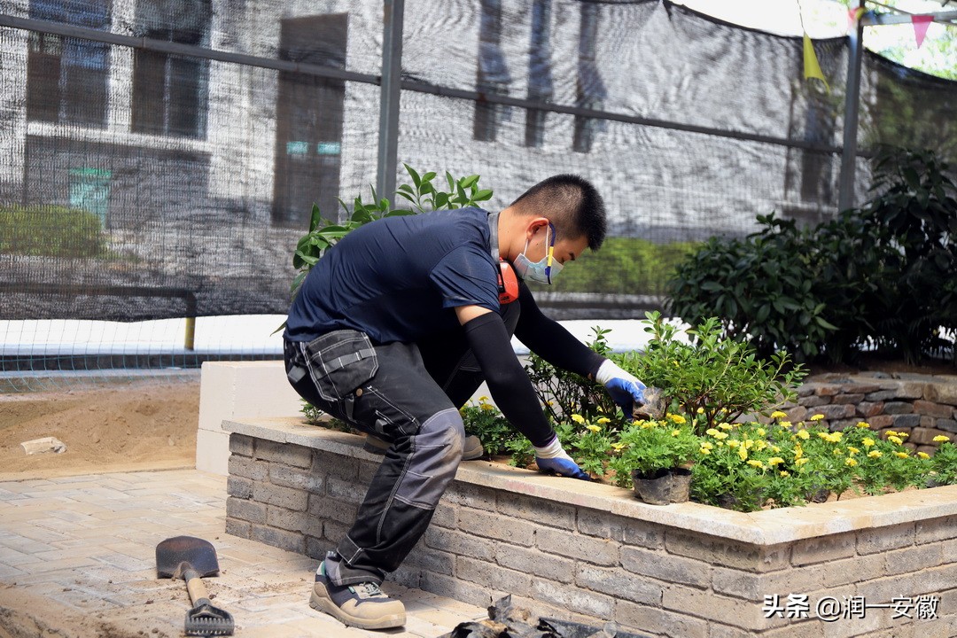 第47届世界技能大赛园艺选拔,第45届世界技能大赛花艺赛项