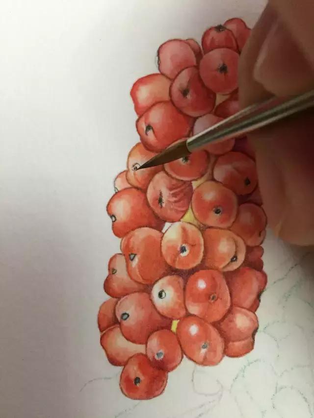 水彩密密麻麻的树叶怎么画,水彩画教程入门叶子