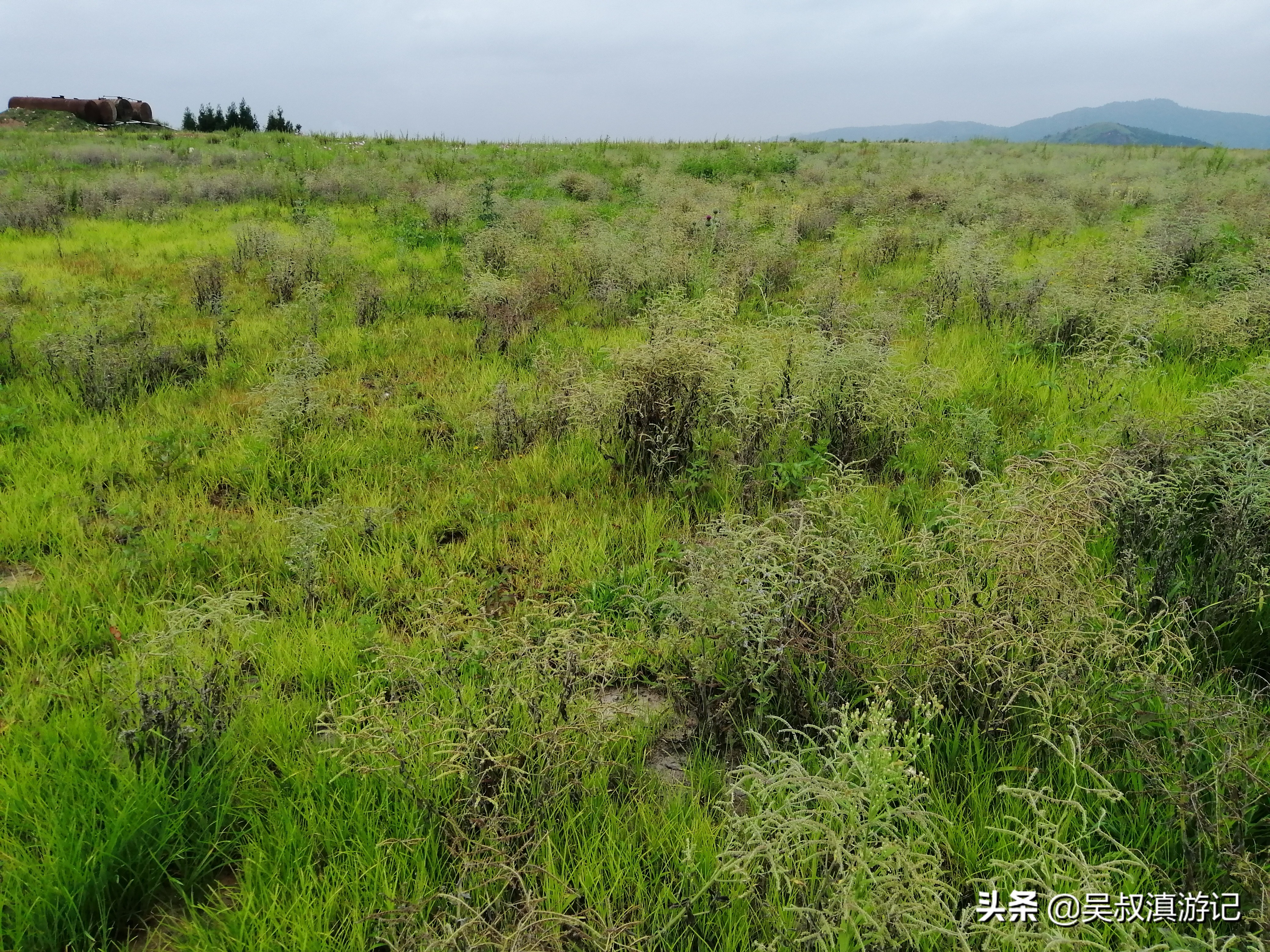 寻找奇石的亲身经历,寻找石盆寺视频