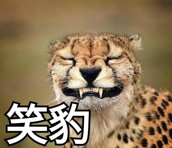 地球70亿巨型骚动！日本绝赞“中二文学秘密”大公开