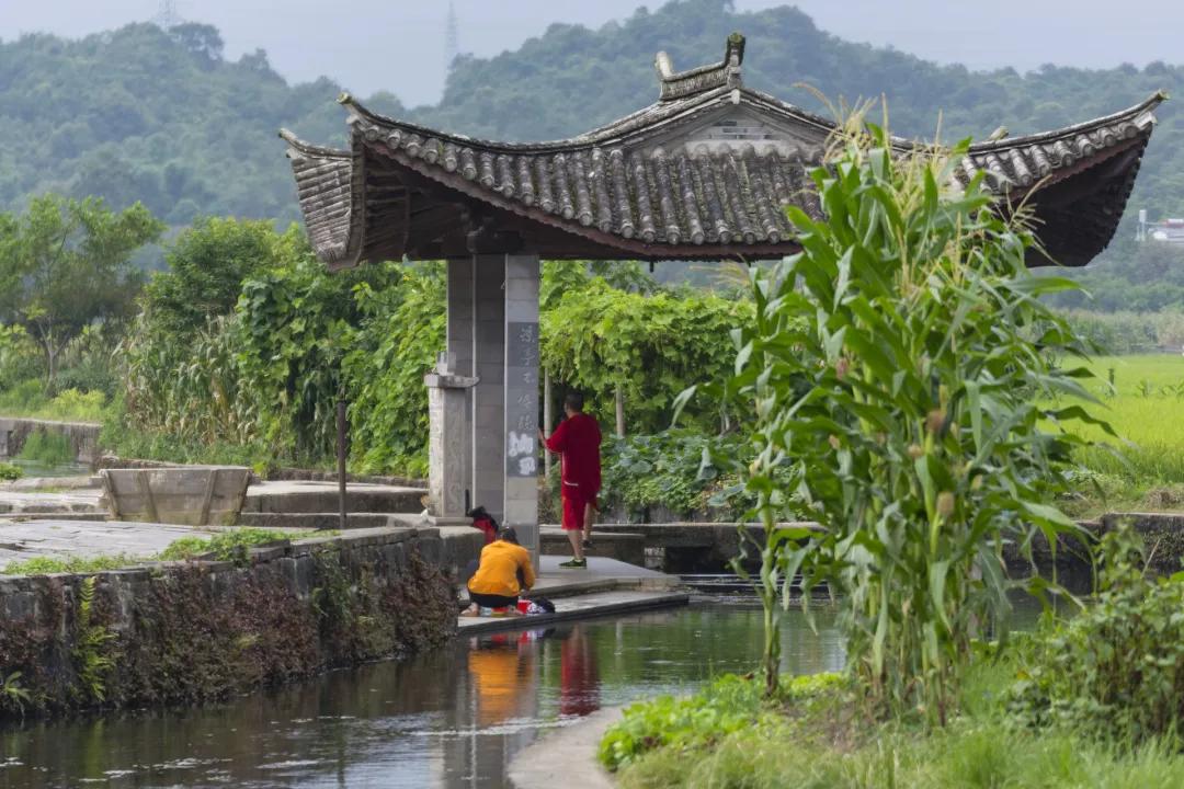 云南避暑避寒最佳地方,云南最适合避暑的旅游城市
