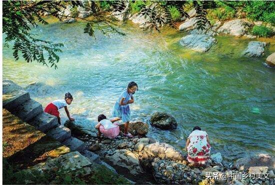 从小在农村长大，夏夜里乡村的蛙鸣、萤舞、虫飞……