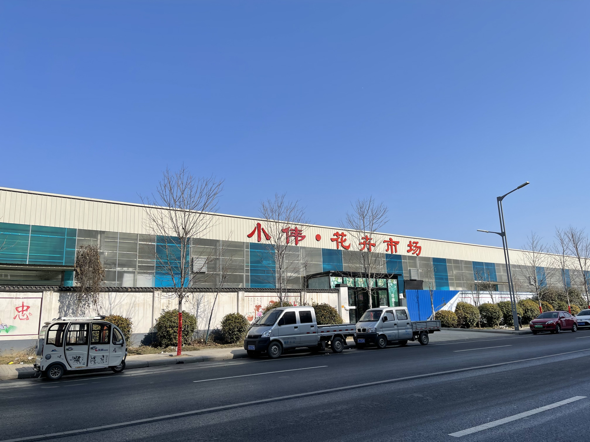 临颍花卉市场有玫瑰花么,临颍花卉市场几点开市