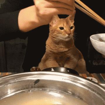 让你心动的搞笑图片,搞笑gif笑死人的动图