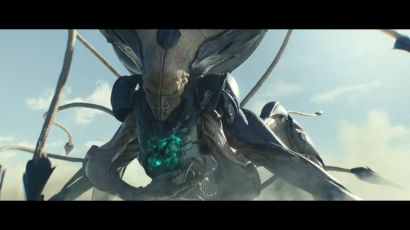 章鱼是外星生物的后人吗,章鱼是最接近外星人的生物吗